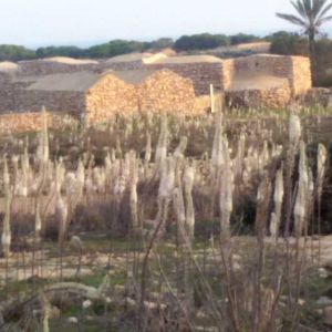 Gli antichi Dammusi a Lampedusa