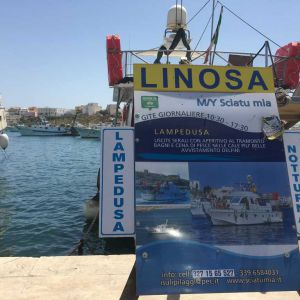 Escursioni in barca per Linosa