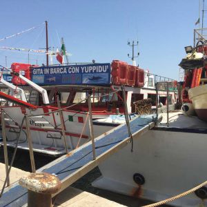 Gita in barca a Lampedusa