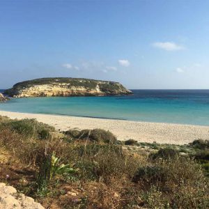 Spiaggia isola dei conigli Lampedusa